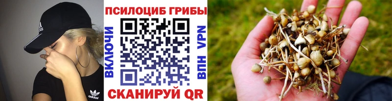 Псилоцибиновые грибы мухоморы ОМГ ОМГ зеркало Юрюзань